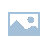 司机端常见问题解答（FAQ）